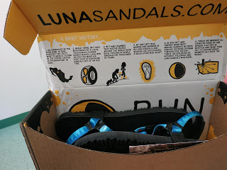 Oso Winged Edition de Luna Sandals
