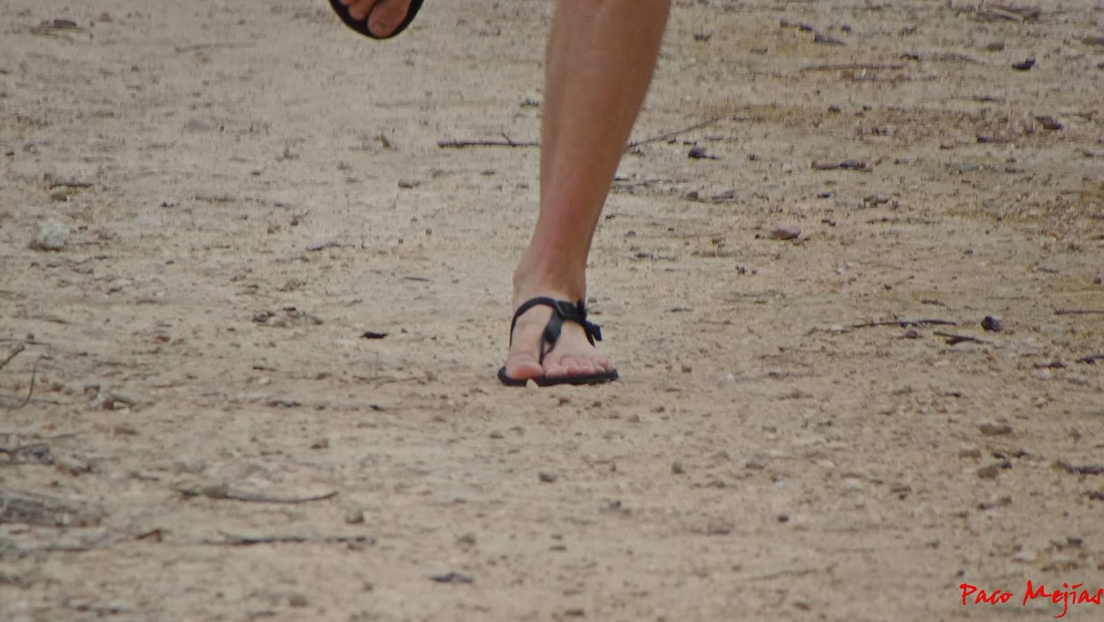 minimalismo, transición y cadencia